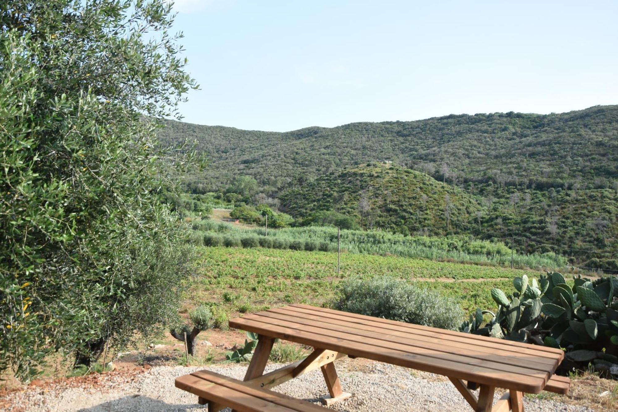 דירות Magazzini  Elba Borgo Di Latrano מראה חיצוני תמונה